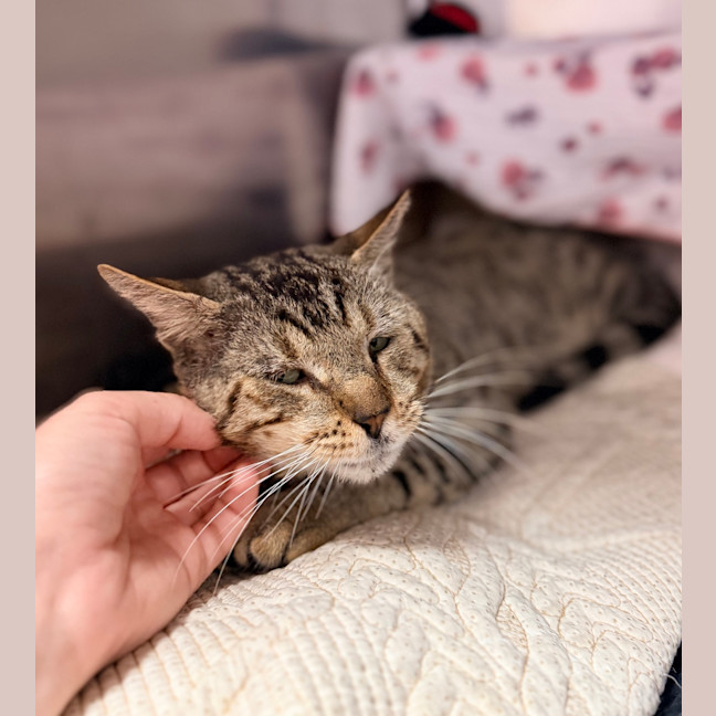 Photo of Bruce Wayne