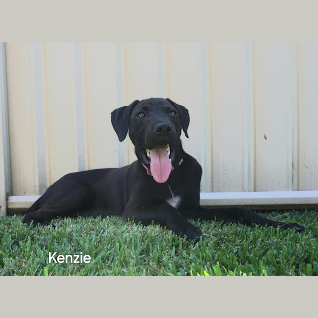 Photo of Kenzie