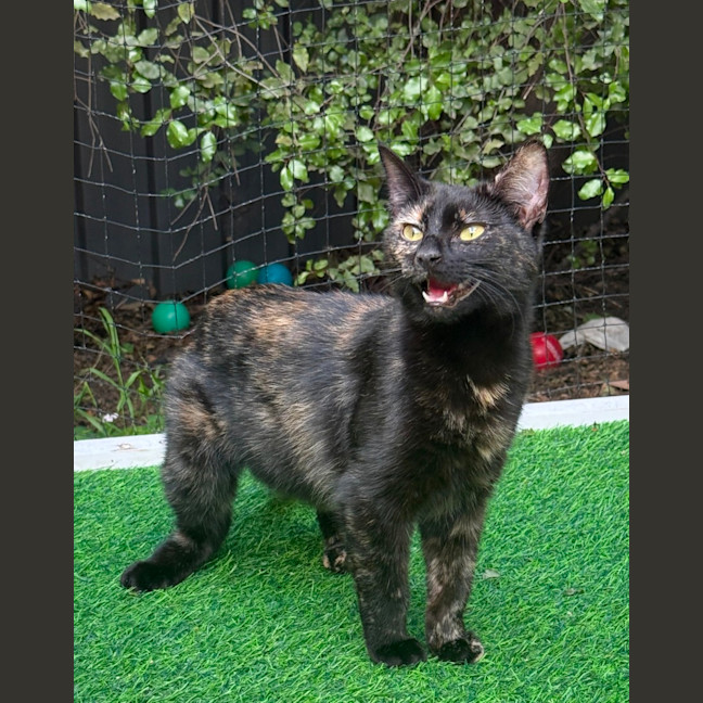 Photo of Wednesday