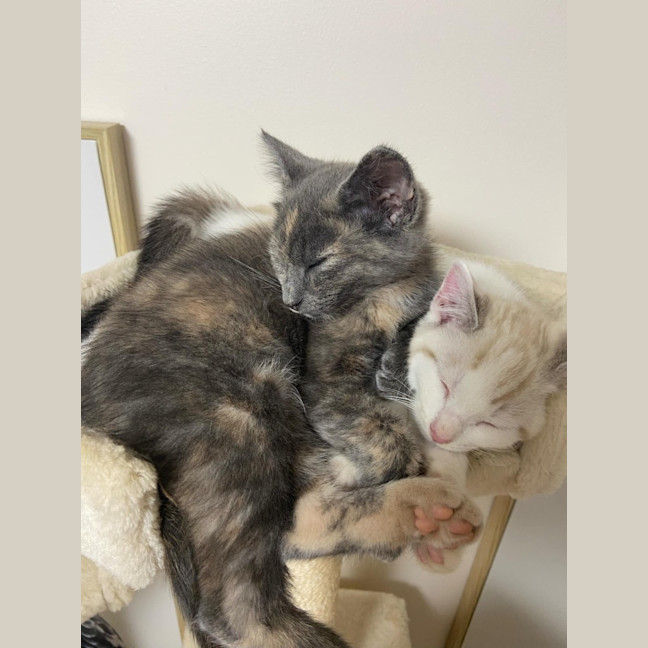 Photo of Summer And Rain 