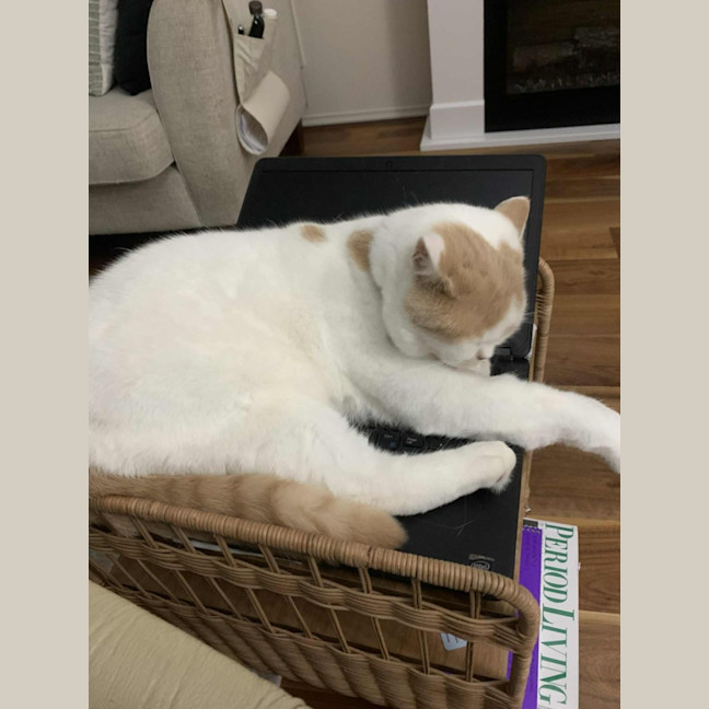 Photo of Gary