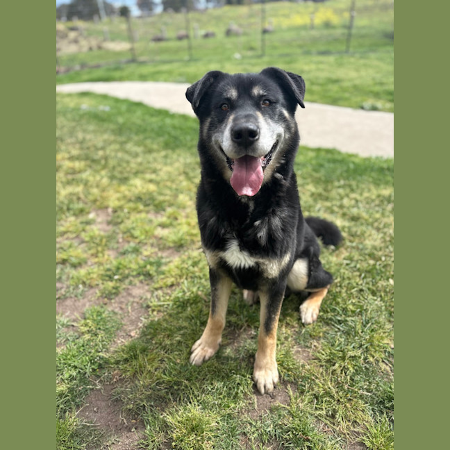 Photo of Zeus 
