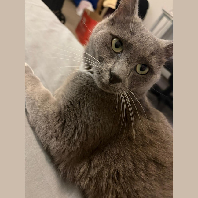 Photo of Nana