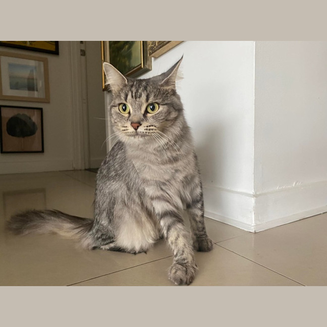 Photo of Cleopatra 