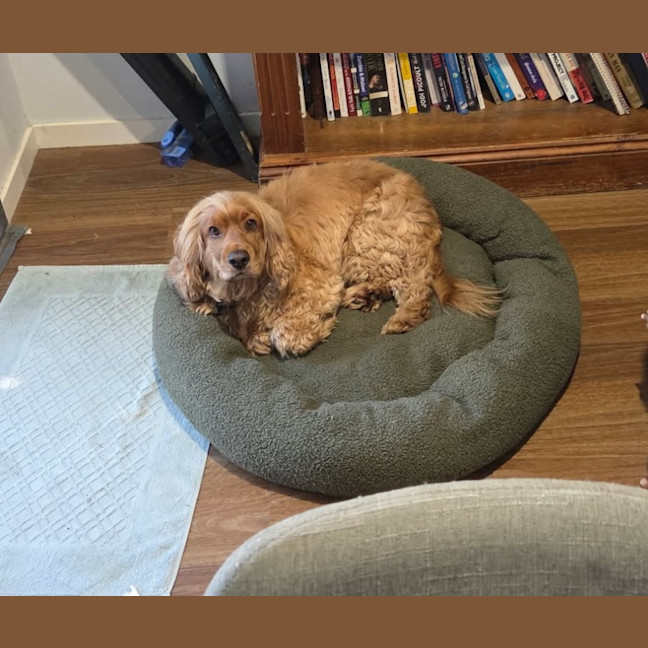 Photo of Walter