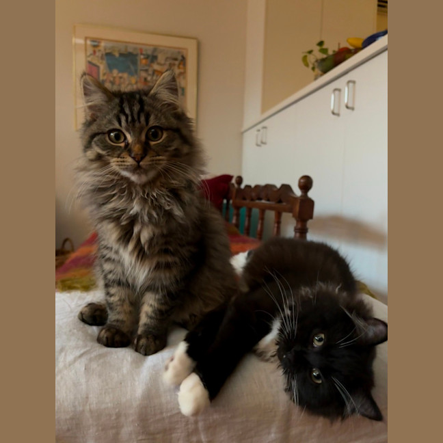 Photo of George Michael & Maeby 