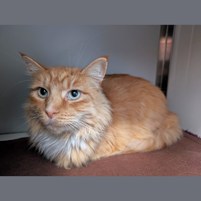 Photo of Butterpants