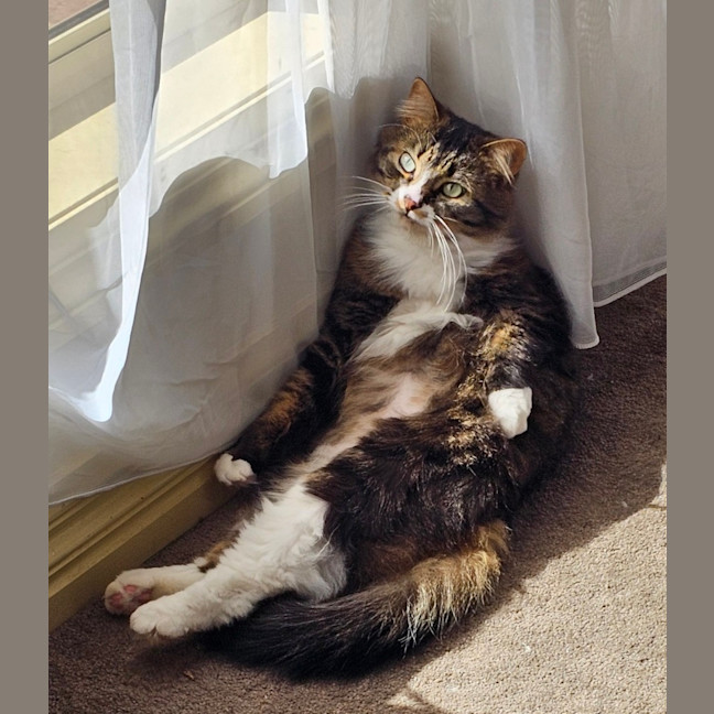 Photo of Princy