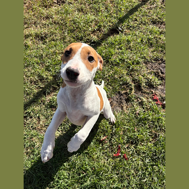 Photo of Bonnie
