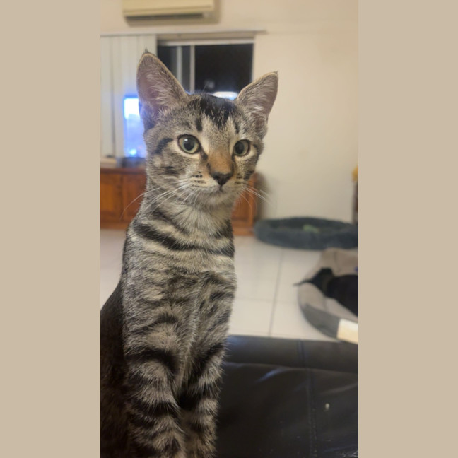 Photo of Roo