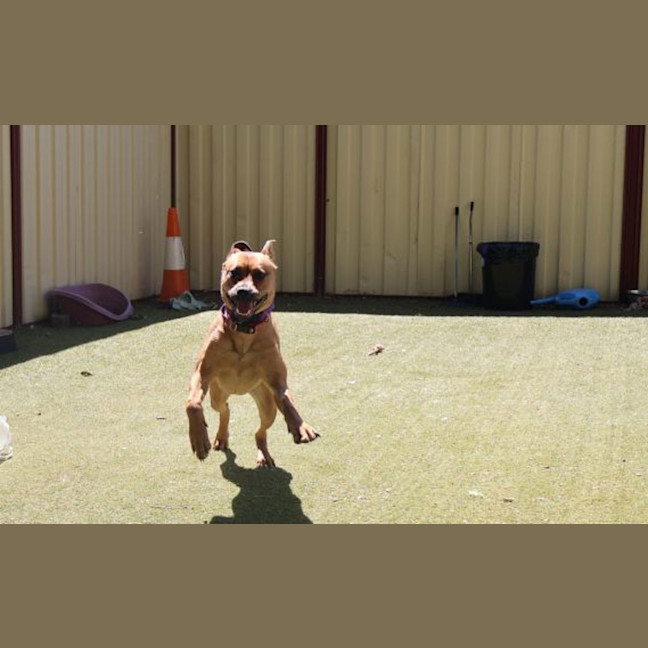 Photo of Winnie