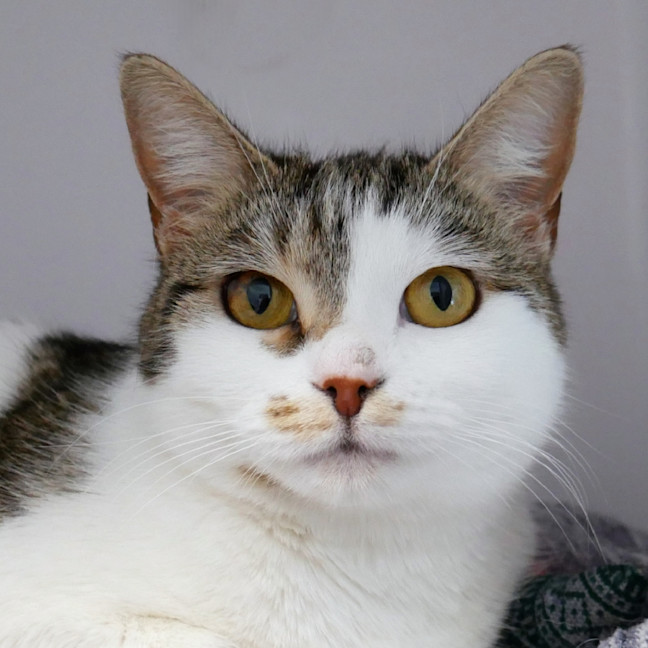 Photo of Molly Sta014312