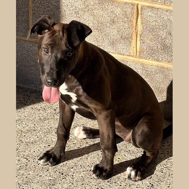 Photo of Nellie