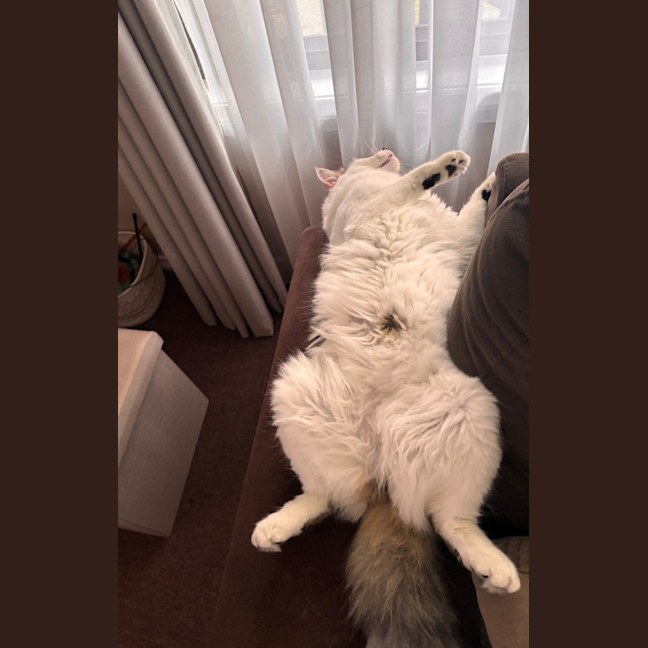 Photo of Julian