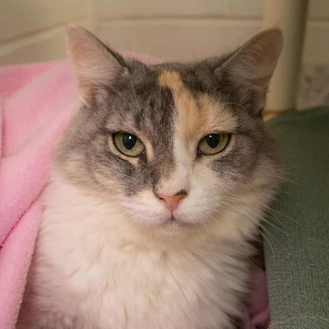 Photo of Zoe