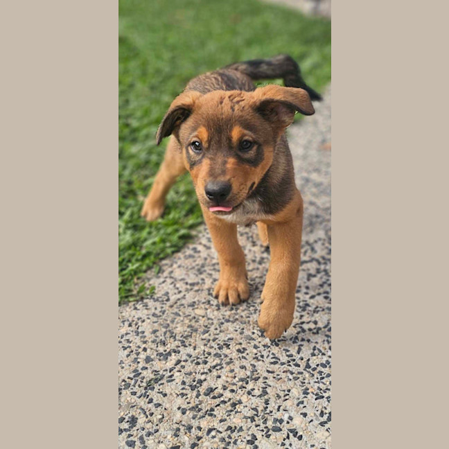 Photo of Red