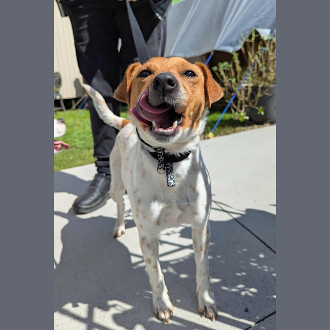 Photo of Rosie & Athos