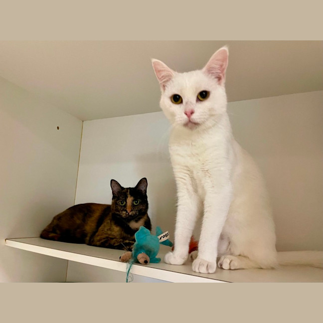 Photo of Hilda And Sunni