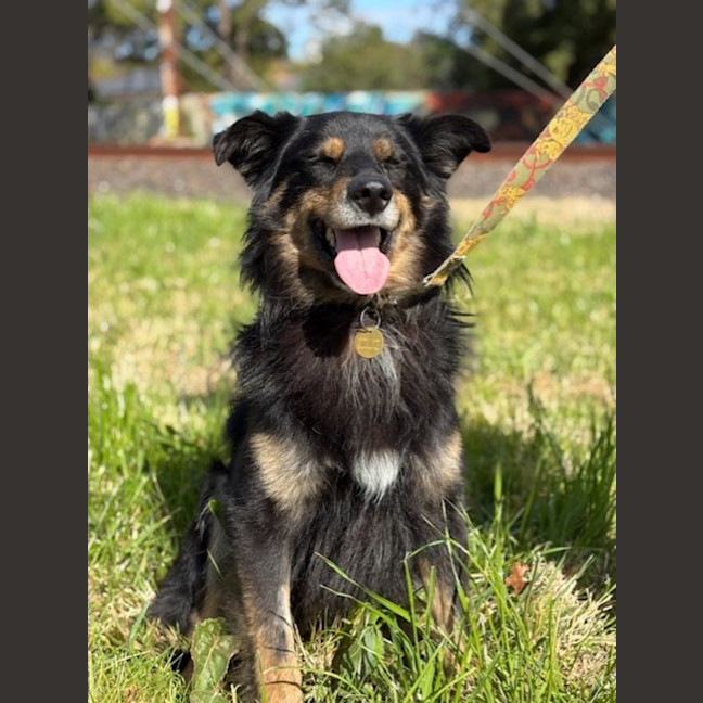 Photo of Bixby