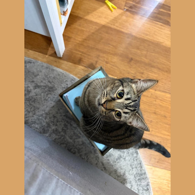 Photo of Chimney