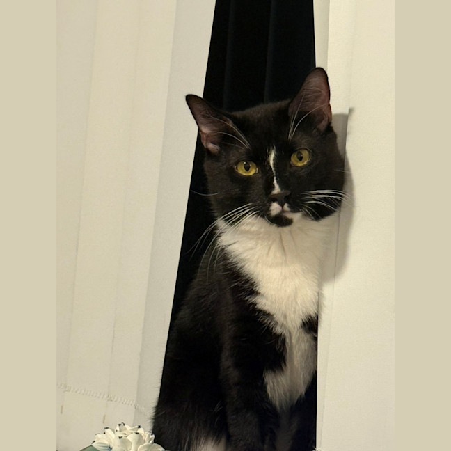 Photo of Boots