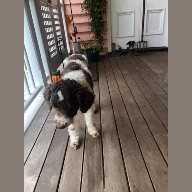 Photo of Rupert