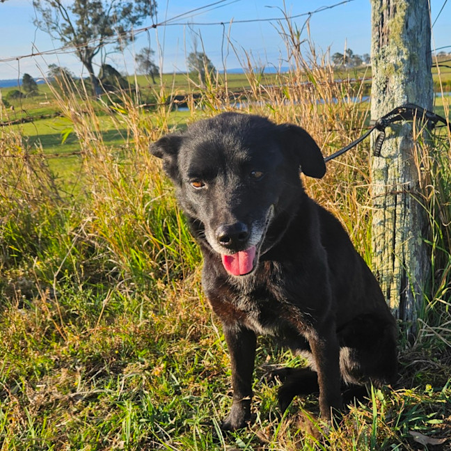 Photo of Zoe