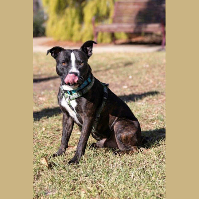 Photo of Hank Peggotty