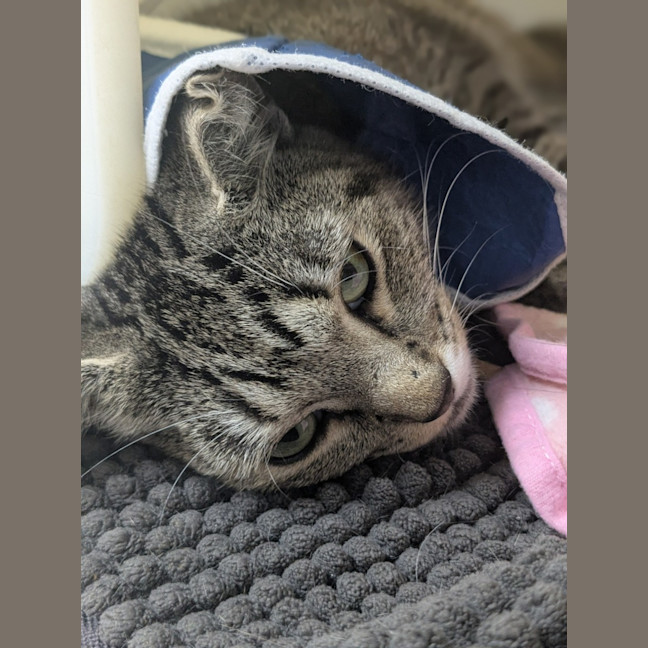 Photo of 🌻 Marla 5796 🌻