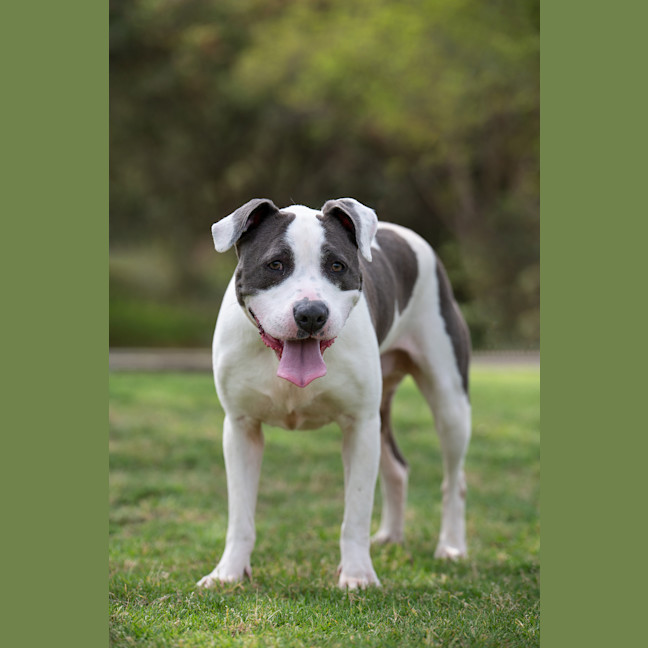 Photo of Zeus