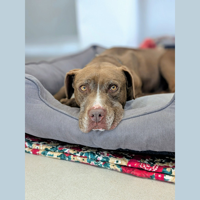 Photo of 🥓 Eazy 6370 🥓