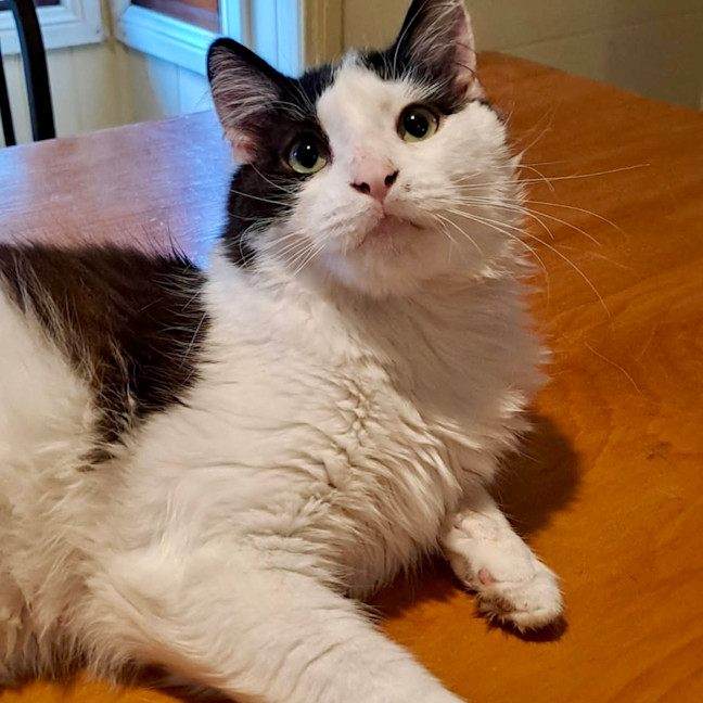 Photo of Alistair