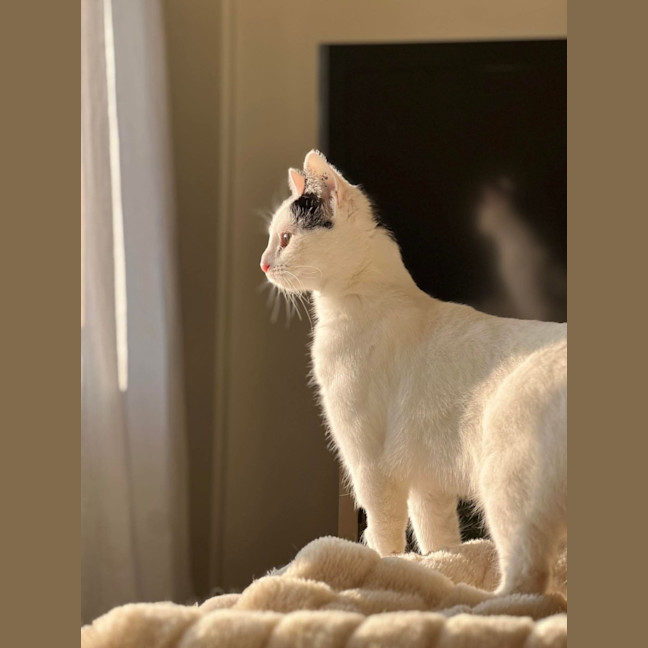 Photo of Lilly