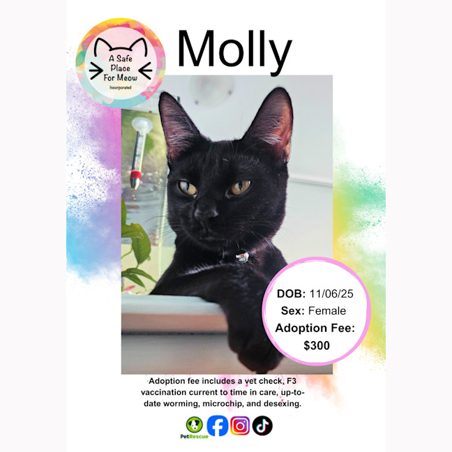 Photo of Molly