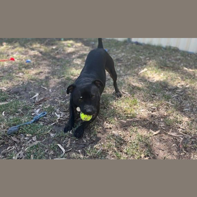 Photo of Rocket