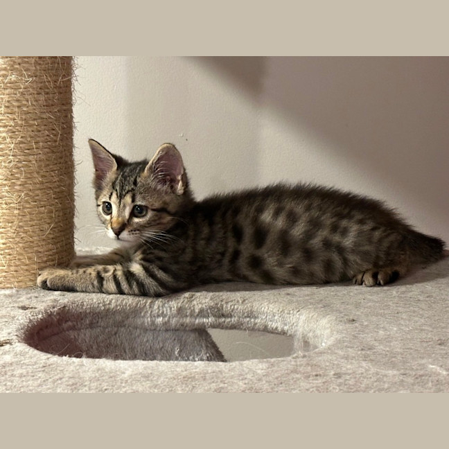 Photo of Luka 😻