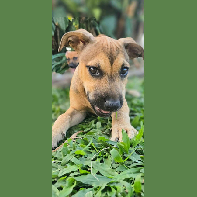 Photo of Laylei