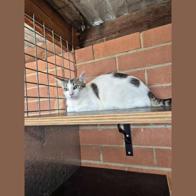 Photo of Whitney! 🌟