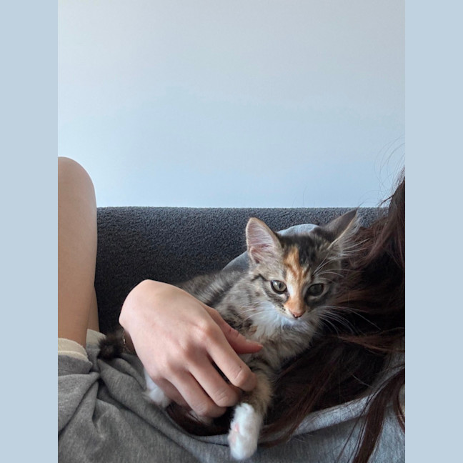 Photo of Jalapeno & Mozzarella