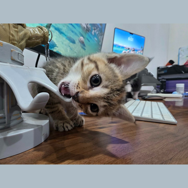 Photo of Michi