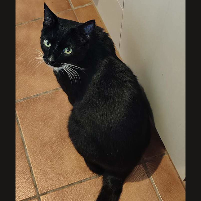 Photo of Lucky