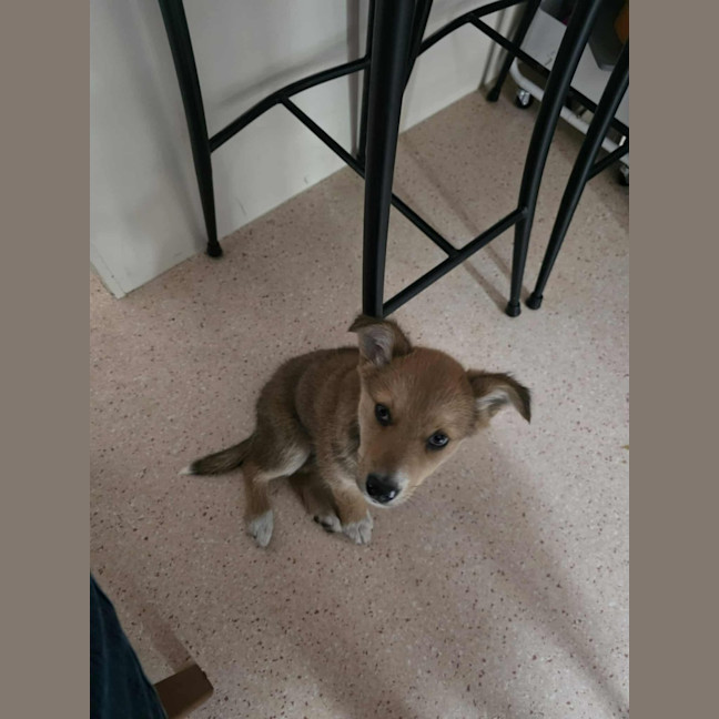 Photo of Mojo