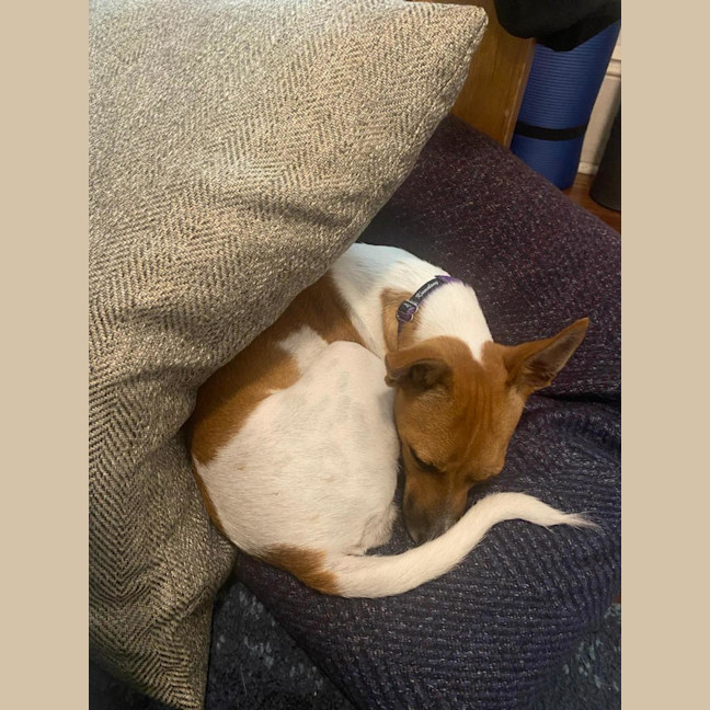 Photo of Lady Marmalade