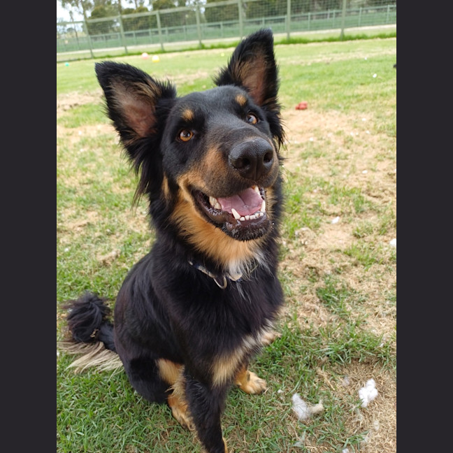 Photo of Percy
