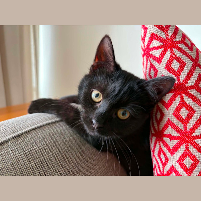 Photo of Jasper
