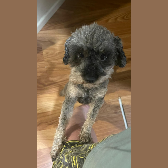Photo of Lucy