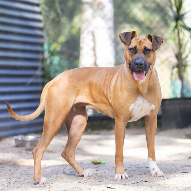 Photo of Ruby