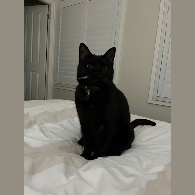 Photo of Monster