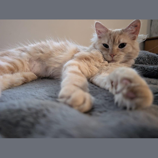 Photo of Aria Allbright