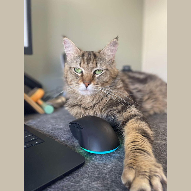 Photo of Winston